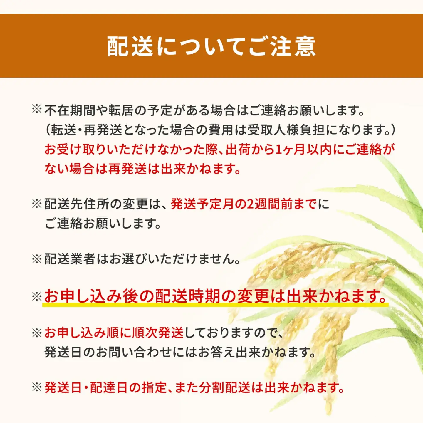白米 5月内発送 ランダム 5kg 茨城県産 令和7年産 米 K2464