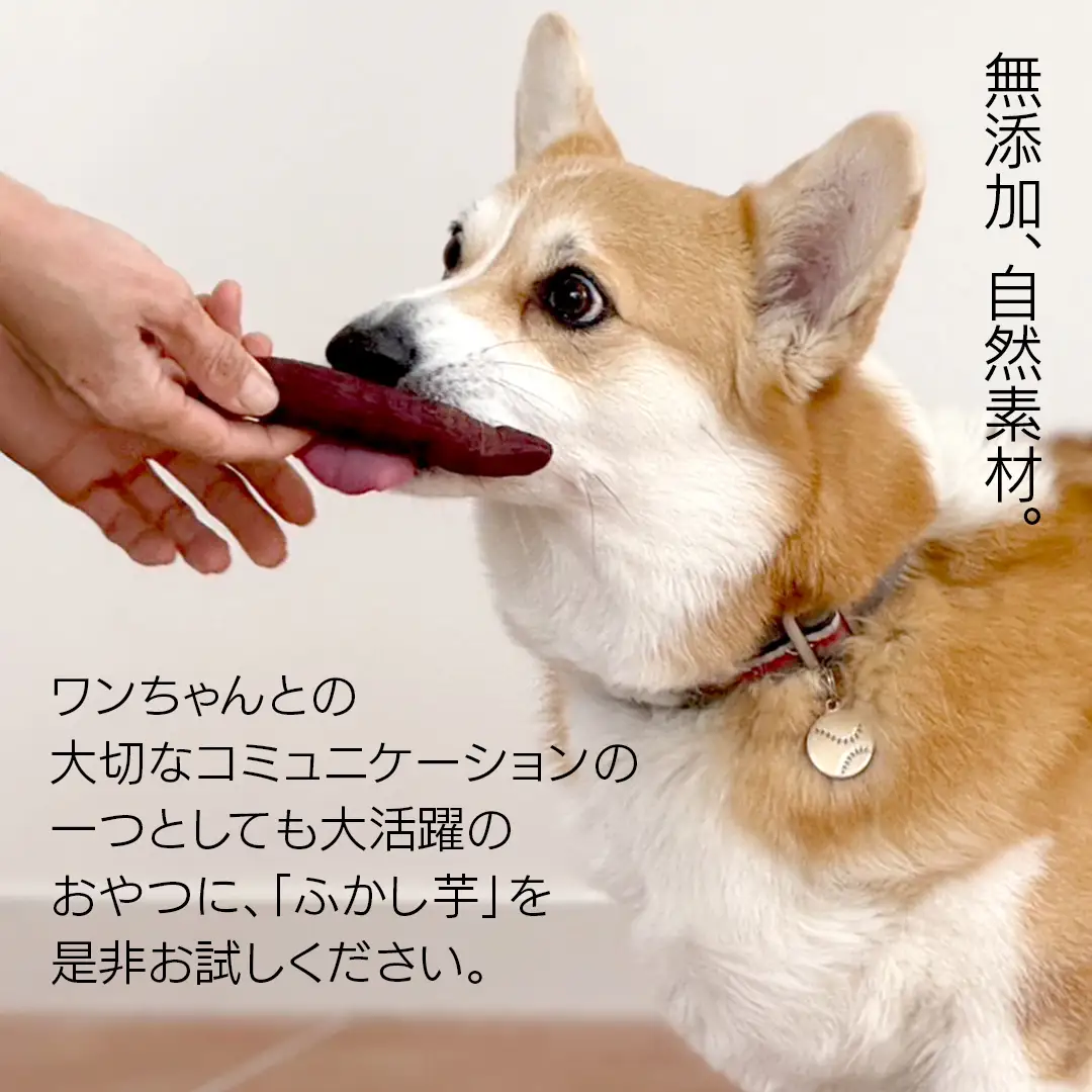 【6ヶ月定期便】動物 ペットおやつ ペット用 ふかし芋 小芋 紅はるか 芋 いも おやつ 動物 ペットフード 犬 猫 間食 ヘルシー オヤツ 4kg  [AU125ya]