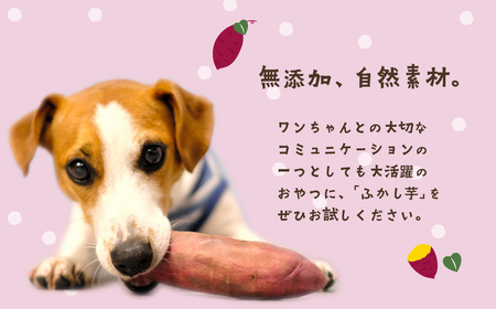 無添加 ペット用ふかし芋 小芋 紅はるか 4kg 【 ドッグフード ドッグフード ドッグフード ドッグフード ドッグフード 】