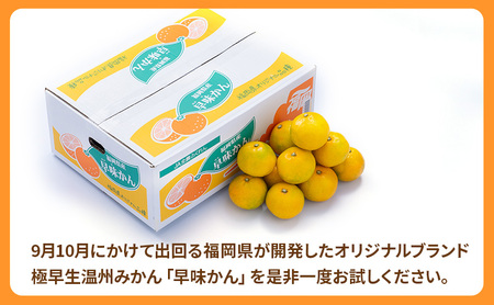 みかん 福岡ブランド みかん・早味かん 約4kg 柑橘 ミカン フルーツ 果物 ※配送不可:離島