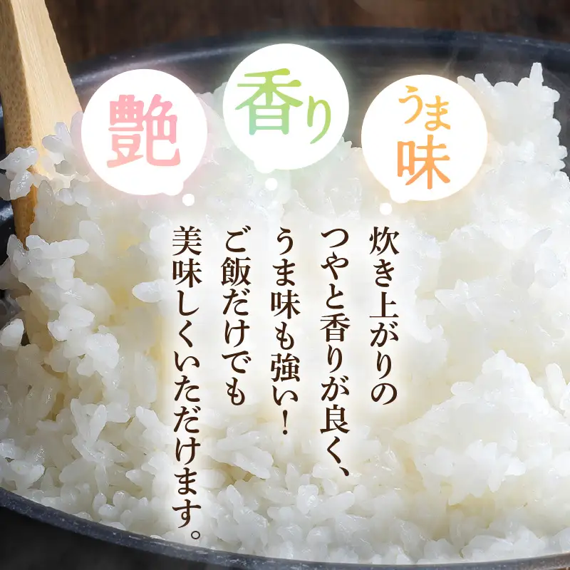 令和7年産  5kg 精米 コシヒカリ 福井県産《14日以内に出荷予定》 [e66-a013]