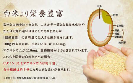 【6ヶ月定期便】夢つくし 玄米 PREMIUMパック 24パック×6回 お米 米 ご飯 ごはん パックライス パックご飯 パックごはん レトルト