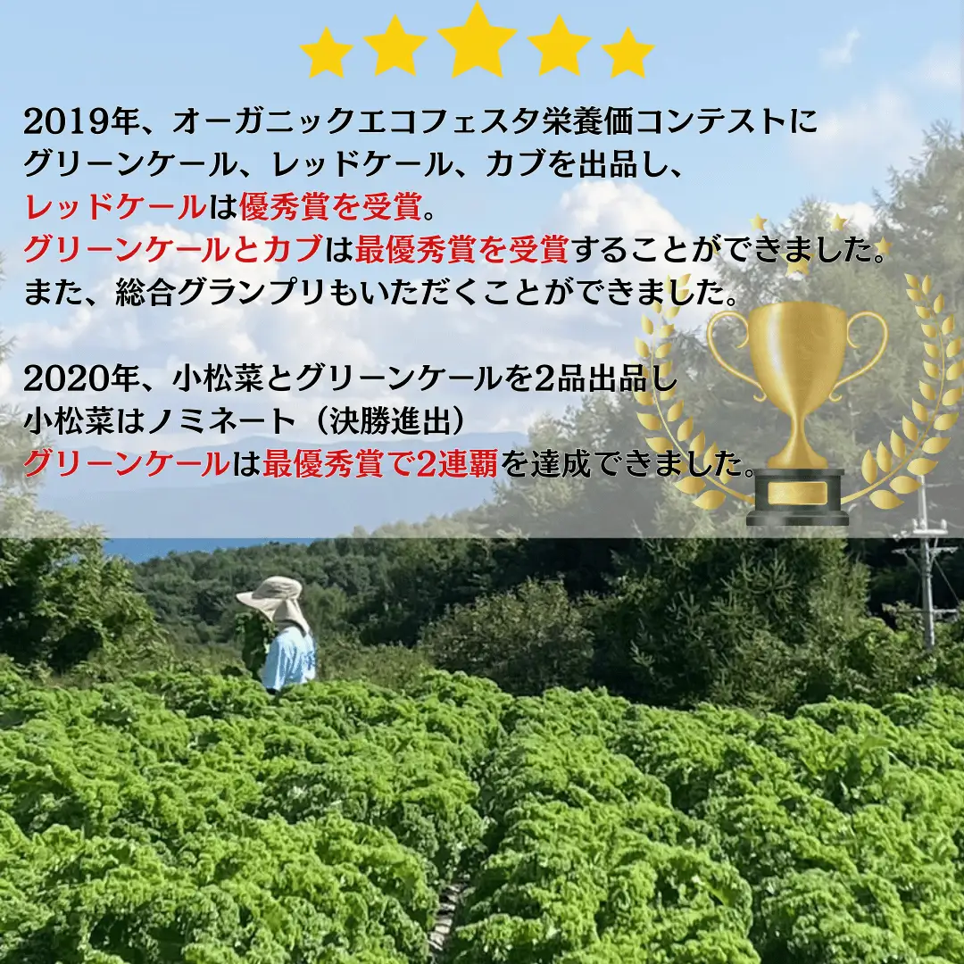 【先行受付】のらくら農場 ケール１kg　4か月定期便 [NK-T523]
