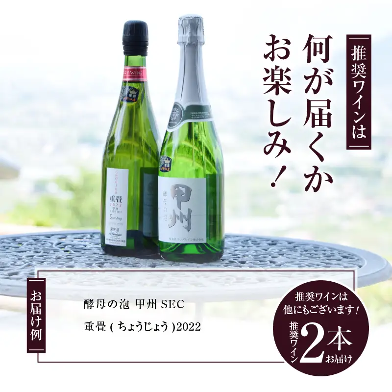 ワイン 勝沼ぶどうの丘推奨スパークリングワイン辛口2本セット B2-604