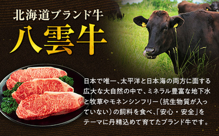 八雲牛 スネブロック 500g ※沖縄・離島への配送不可