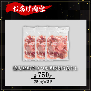 【訳あり】鹿児島県産 豚肉 さつま 黒豚 切り落とし (計750g・250g×3P)【KNOT】 A690