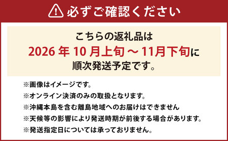 紫苑 2kg ぶどう 葡萄 フルーツ 果物 岡山県 岡山県産 2026年 先行予約 【2026年10月上旬-11月下旬発送予定】