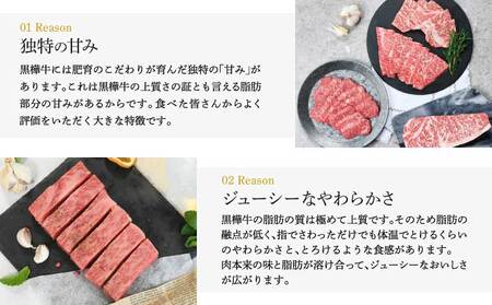 【定期便 1ヶ月毎3回】 九州産黒毛和牛 黒樺牛 肉厚サーロインステーキ 計900g (300g×3回)