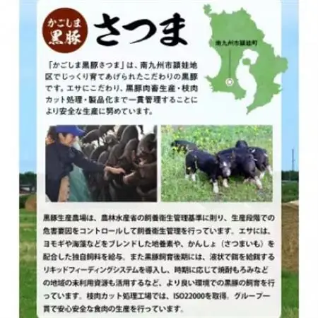【発送月固定定期便】かごしま黒豚スライス定期便ハーフ全6回【配送不可地域：離島】【4081603】
