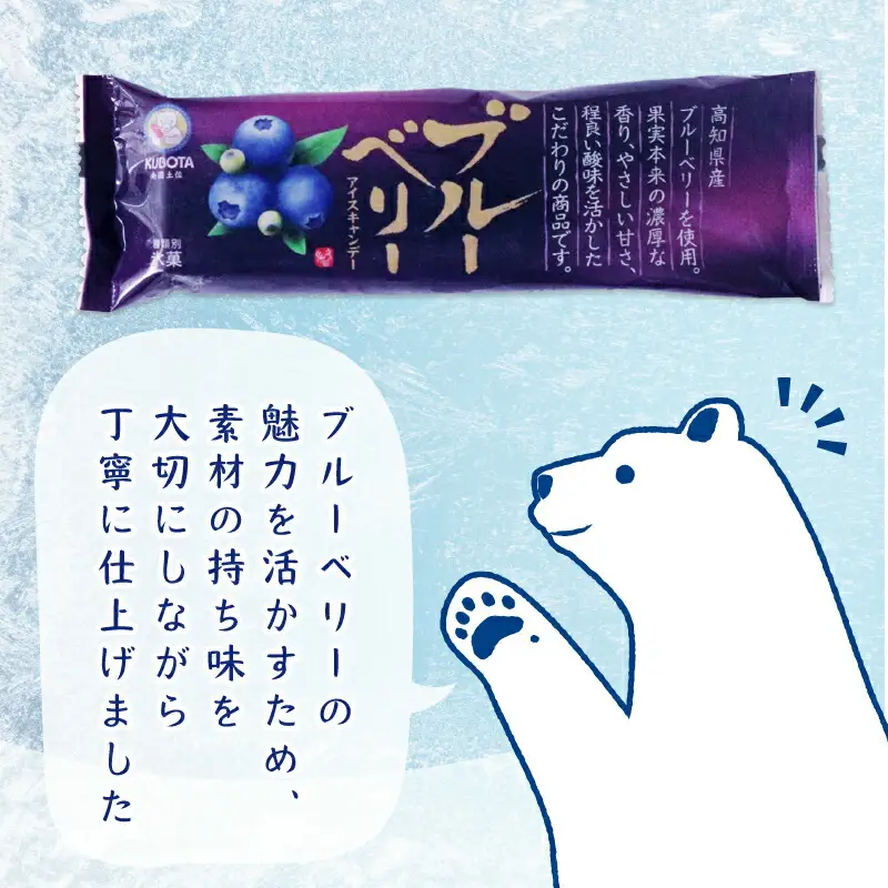 【アイス】ブルーベリー アイス 80ml×20本