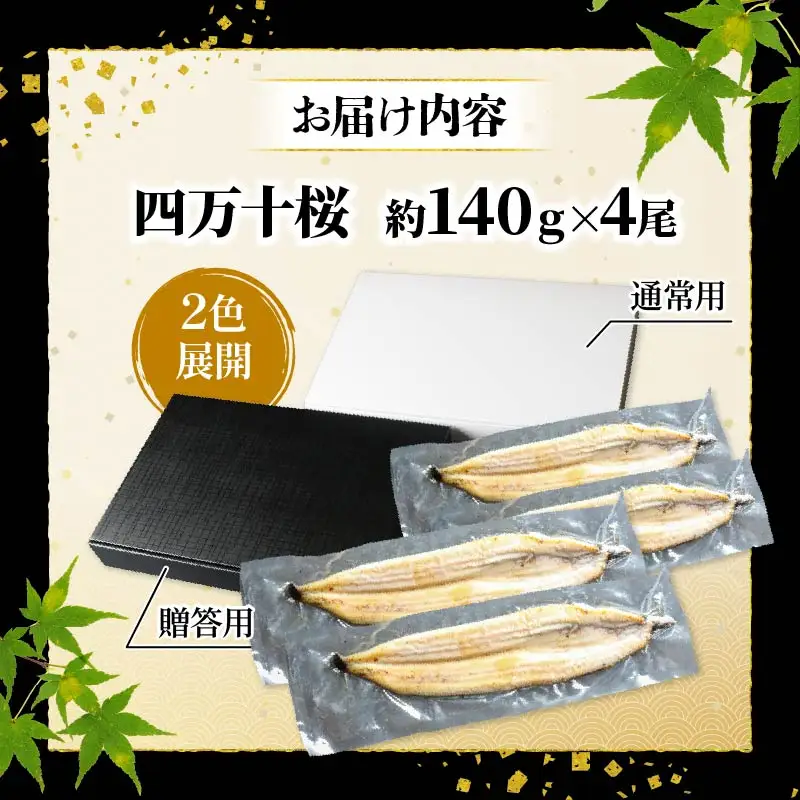 【通常用】国産うなぎ四万十桜 白焼き 約140g×4尾 完全無投薬 白焼き