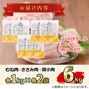 【0124806a-2607】＜2026年7月発送予定＞国産若鶏肉ヘルシーセット(合計6kg・ムネ、ささみ、肩小肉) 鶏肉 鳥肉 とり肉 むね肉 おかず 小分け 国産 【エビス】