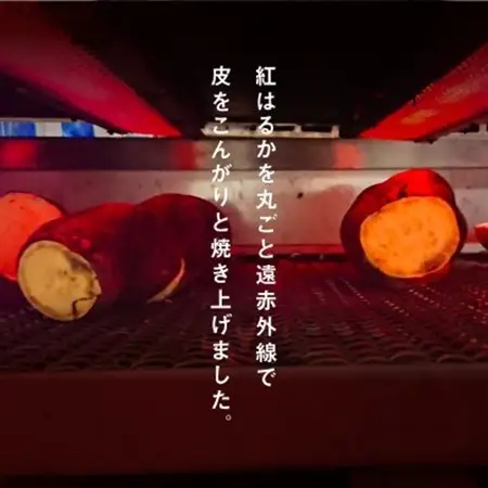 干しいも「焼いもをスライスしました」85g×12袋_果物・フルーツ 干し芋 ドライフルーツ ほしいも ホシイモ_【1599215】