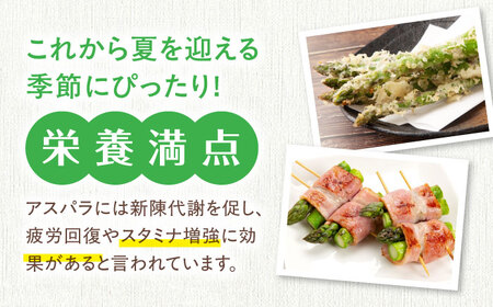 朝どりアスパラ 1kg M・2L混 アスパラ AJAH017