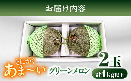 【2026年7月初旬-発送】グリーンメロン 2玉 約4kg / メロン めろん 果物 フルーツ / 南島原市 / うえだメロン園[SAD010]