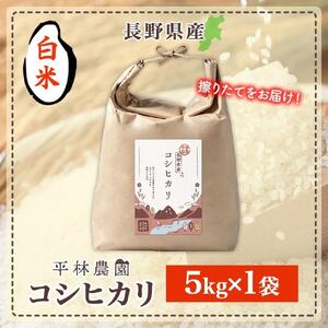 令和7年産 コシヒカリ 白米 5kg×1袋 長野県産 米 精米 お米 ごはん ライス 甘み 農家直送 産直 信州 人気 ギフト お取り寄せ 平林農園 送料無料 長野県 大町市