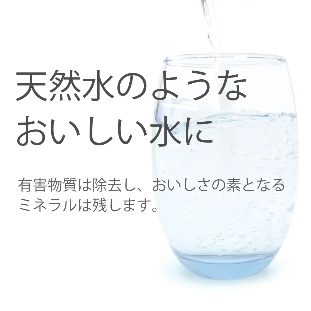 磨水IV 交換用カートリッジ フィルター J205P-K 水生活製作所 [No.1040]