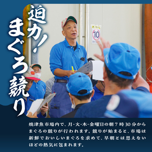 a31-011　 焼津ミナミマグロスキンレスセット