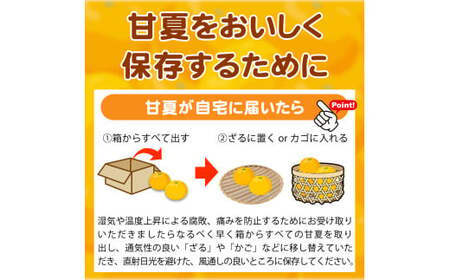 紀州 有田産 すっきり爽やか 甘夏 みかん 8kg 【ご家庭用訳あり】 / 温州みかん 柑橘 フルーツ 果物 和歌山 ※2027年3月中旬〜3月下旬頃順次発送予定 ※離島への配送不可 【uot847】