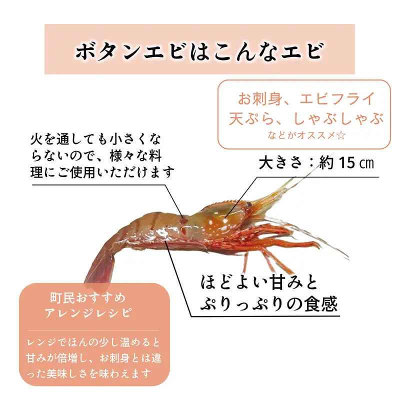 ＜ボタンエビ(冷蔵)　1kg＞甘く豊かな風味！ 北海道 道産 国産 乙部町産 牡丹海老 海老 日本海 天然 魚介類 新鮮 希少 お刺身  漁師直送 産地直送 送料無料