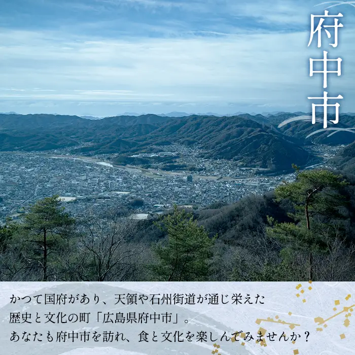 そ恋しきでのお食事＆タクシー観光付きツアー　旧府中市街地コース【4人用チケット】 No.1084