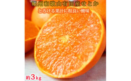 【4か月定期便】旬の柑橘定期便 / みかん ミカン 柑橘 オレンジ 果物 くだもの フルーツ フルーツ定期便 和歌山【tkb416】