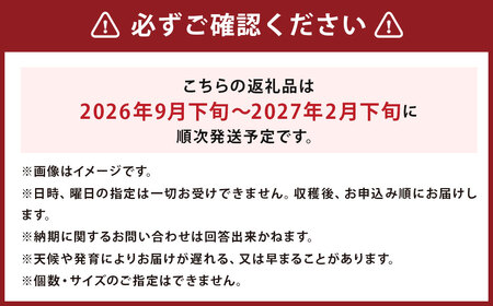 じゃがいも 男爵 Lサイズ 約10kg×1箱 計約10kg （JA） ジャガイモ 芋 いも イモ 国産 【2026年9月下旬～2027年2月下旬迄発送予定】