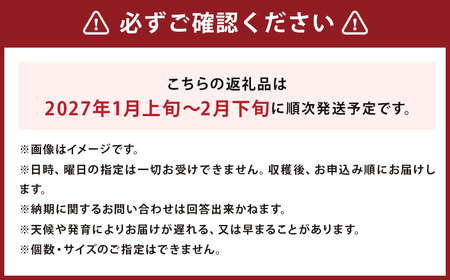 じゃがいも きたかむい Lサイズ 約10kg×1箱 計約10kg （JA） ジャガイモ 芋 いも イモ 国産 【2027年1月上旬～2月下旬迄発送予定】
