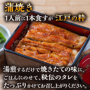 数量限定 国産うなぎ 蒲焼き（長焼き）120g程度×1本 ＜オリジナル御朱印付き＞　|  明治５年創業の老舗名店 150年秘伝のタレ付き 国産養殖うなぎ 蒲焼き うな重 ひつまぶしに 栃木県 栃木市