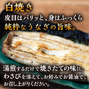 数量限定 国産うなぎ 白焼き（長焼き）120g程度×2本　＜オリジナル御朱印付き＞　 | 明治５年創業の老舗名店 わさび付き 国産養殖うなぎ 栃木県 栃木市