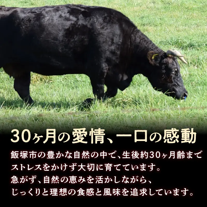 本格黒毛和牛 筑穂牛肩ロース肉すき焼き用 ７００g【E-081】