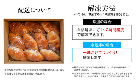 天然酵母 塩パン 10個 セット パン ローカルベーカリー《7-14営業日以内に出荷予定(土日祝除く)》焼きたてを急速冷凍 手作り 天然酵母パン 朝ごはん おやつ 軽食 ランチ 北海道 本別町
