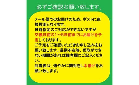 榊 浜松出世榊 本榊 純国産 1対（2束）※15日交換に間に合うように配送 国内産 日持ち 大きい 艶やか 肥料のみ使用 農薬不使用 浜松市 静岡県