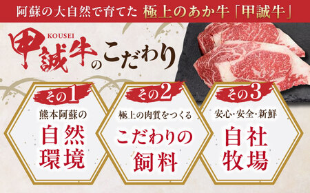 あか牛ロースステーキ 約200g×2枚  ステーキ[AYCQ008]