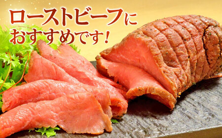【GI認証】くまもとあか牛赤身モモブロック 約500g 和牛 ブロック[AYCQ012]