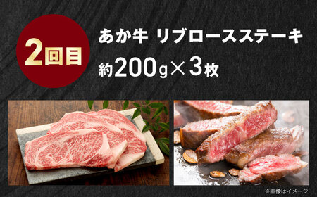 【全3回定期便】【GI認証】くまもとあか牛 食べ比べ B カイノミ リブロース 赤身モモブロック [AYCQ027]