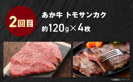【全3回定期便】【GI認証】くまもとあか牛 食べ比べ F リブロース トモサンカク 赤身モモブロック[AYCQ031]