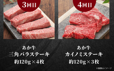 【全6回定期便】【GI認証】くまもとあか牛 食べ比べ B リブロース クリミ 三角バラ カイノミ ステーキ 赤身モモブロック リブローススライス[AYCQ033]