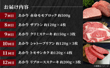 【全12回定期便】【GI認証】くまもとあか牛 食べ比べ 牛肉 [AYCQ034]