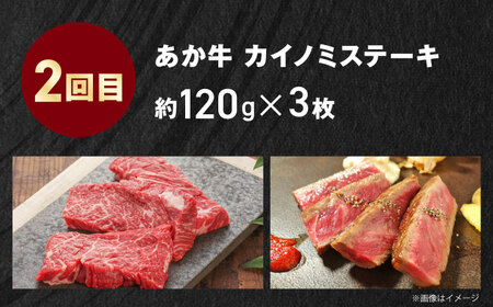 【全3回定期便】【GI認証】くまもとあか牛 食べ比べ E トモサンカク カイノミ リブロース ロース[AYCQ030]