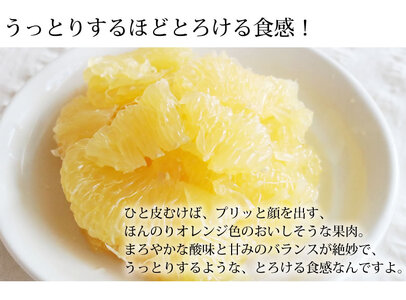  訳あり 河内晩柑 ジューシーオレンジ 約4kg オレンジ みかん ミカン 蜜柑 柑橘 熊本県 宇城市 送料無料 2026年3月下旬から2026年7月下旬発送予定