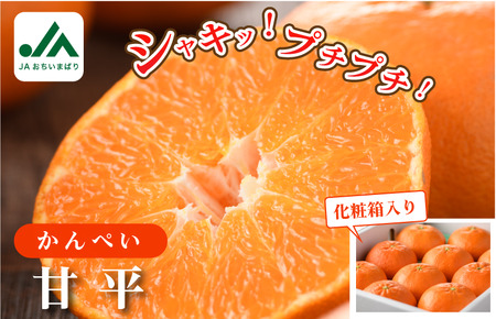 ＪＡおちいまばり柑橘定期便（４回コース）【KE00580】＜紅まどんな／瀬戸の晴れ姫／甘平／せとか＞