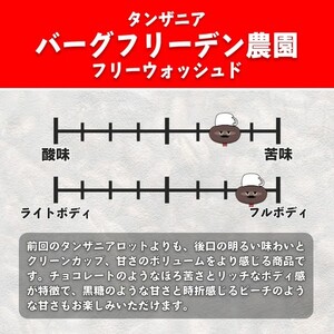 YouTubeで話題！ スペシャルティコーヒー豆 3種セット (200g×3種)《粉 (細挽き)》 [1209]