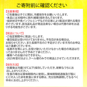 卵 もみじ卵 計30個(10個×3パック) ※割れ保証5個含む 愛媛県 松山市【VEG091】たまご