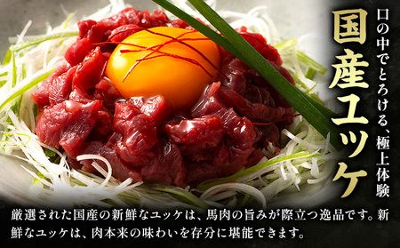 熊本特産 切れてる 馬刺し 4種セット 道の駅竜北  熊本県 氷川町 肉 馬肉 国産 赤身 上赤身 ユッケ 国産ユッケ 馬肉 赤身 ふじ馬刺し セット 食べ比べ