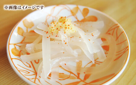 【旬のイカ】 イカ 刺身 1kg [JAQ027] イカ刺し