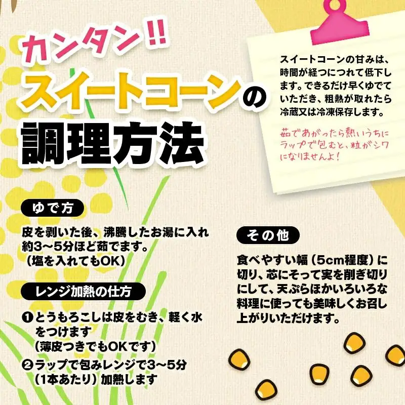 初夏の味覚！鮮度が命 生産者直送 村田さん家のゴールドラッシュ 約8kg 西都市産 朝どれスイートコーン【先行予約】＜63-1a＞