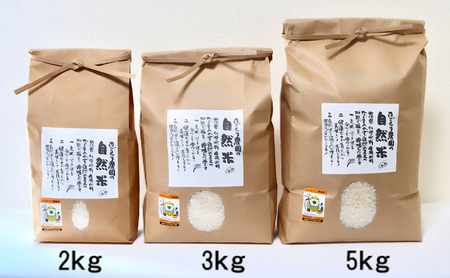 定期便 12ヶ月 米 たごもり農園の自然米 ヒノヒカリ 玄米 5kg お米 12回