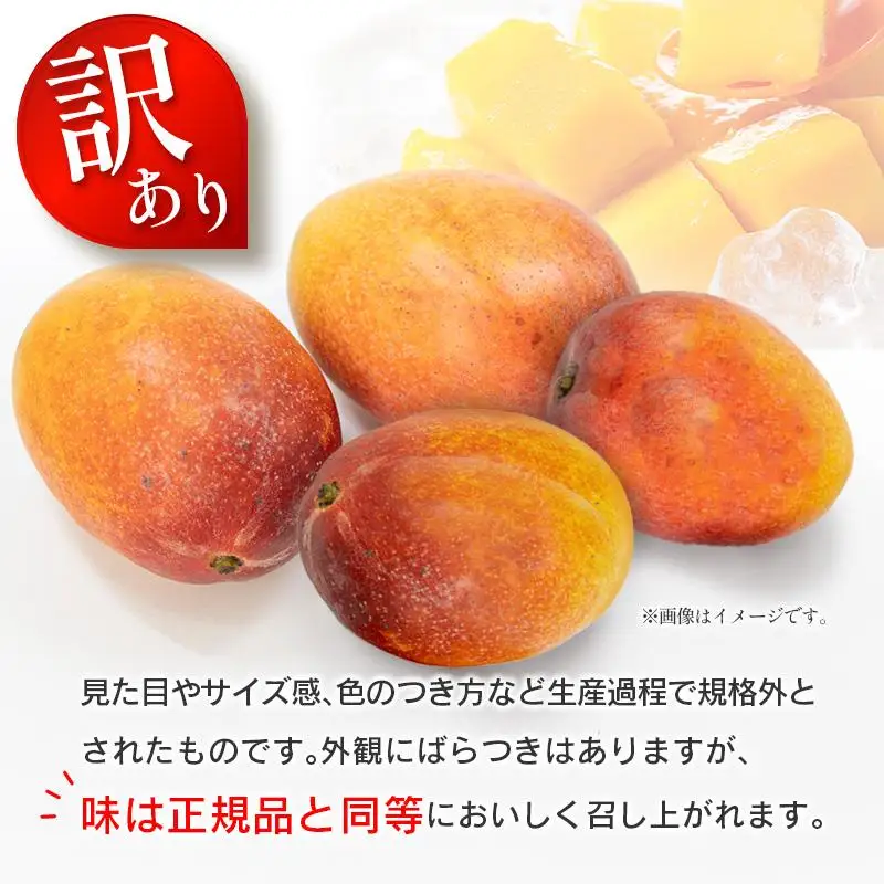 訳あり 完熟 マンゴー 約1.5kg （3玉～5玉） 宮崎県産 果物 フルーツ