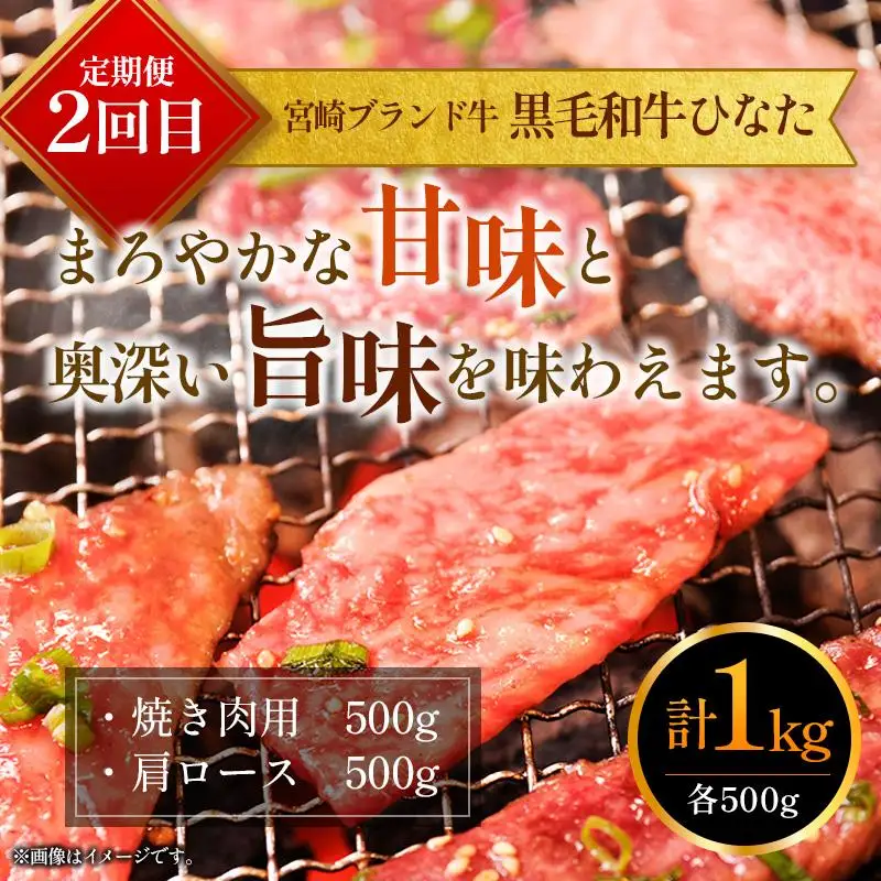 定期便 完熟マンゴー 2L×2玉 & 宮崎ブランド牛 計1kg 全2回 宮崎特産 牛肉 フルーツ 果物